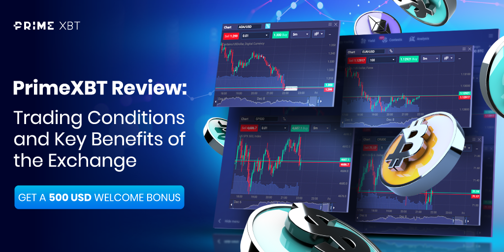 Discover the Power of Trading with PrimeXBT Info Hub