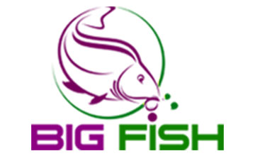 Bigfish.ro